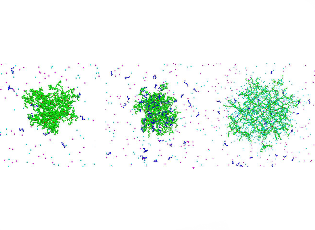 Oligomers as guest molecules in pH-sensitive polymer networks - a Monte ...